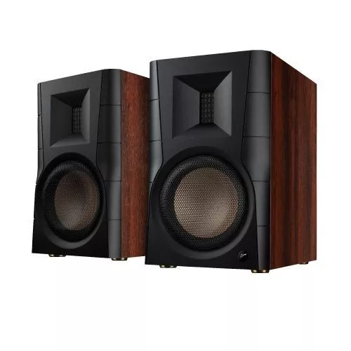 Swan D300